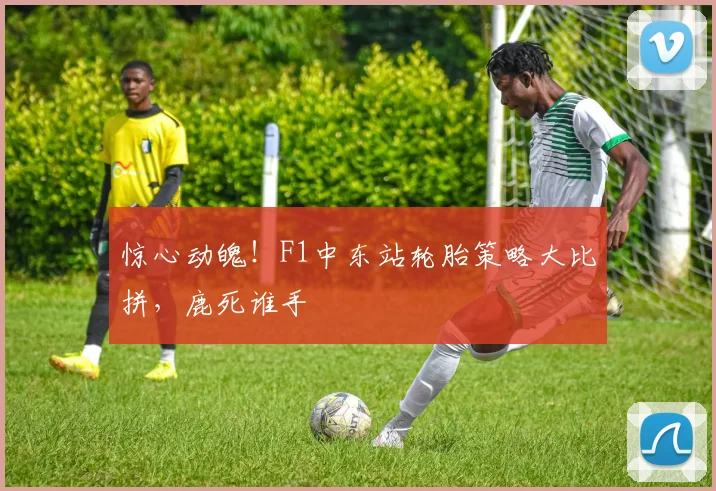惊心动魄！F1中东站轮胎策略大比拼，鹿死谁手