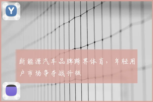新能源汽车品牌跨界体育，年轻用户市场争夺战升级