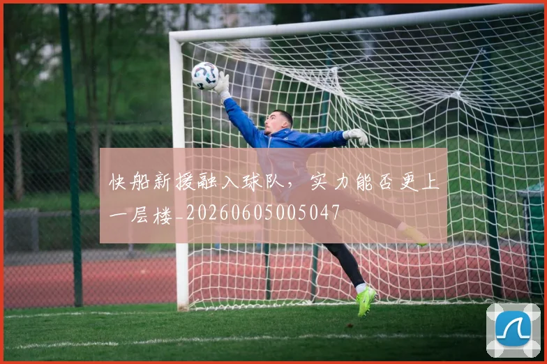 快船新援融入球队，实力能否更上一层楼_20260605005047